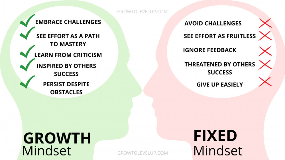 Growth vs Fixed mindset image